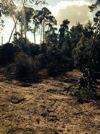 Sanford FL Land Clearing