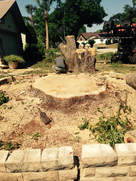 Stump Removal Deltona FL