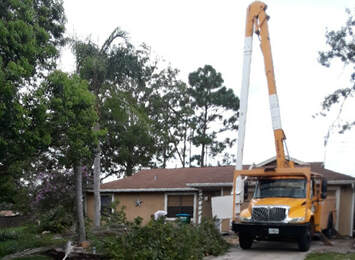 Hazard Tree Removal Deltona